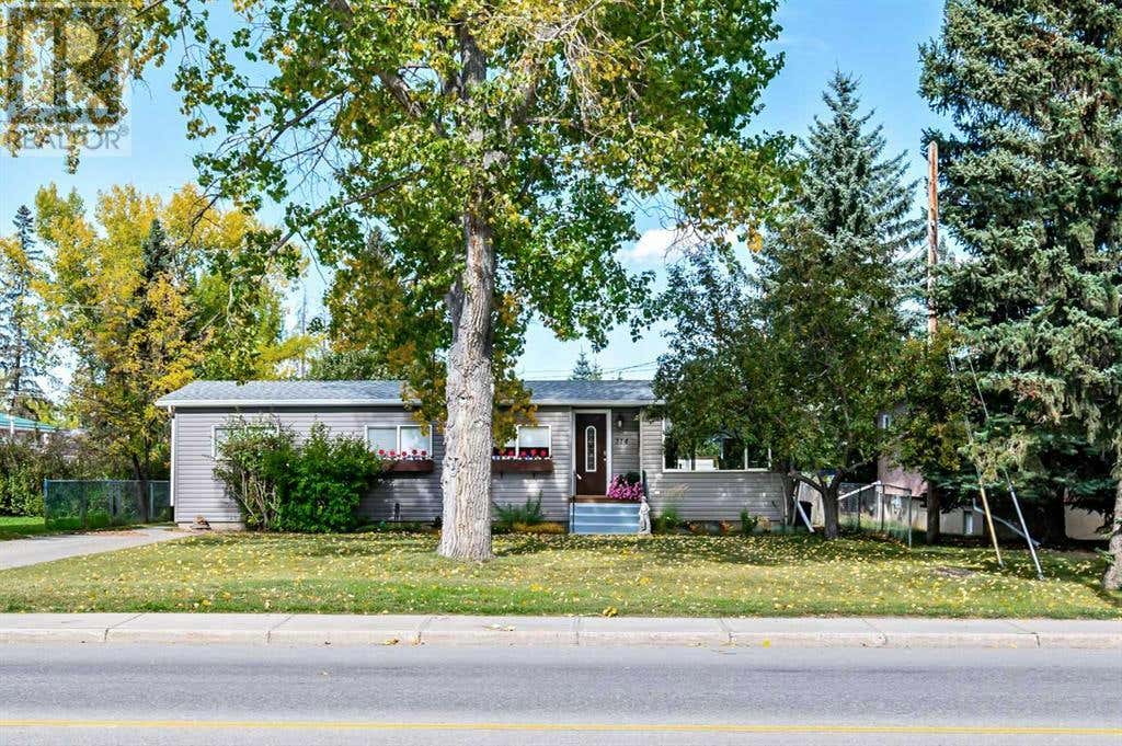 314 Centre Avenue W, Diamond Valley, AB T0L0H0 House For Sale RE/MAX