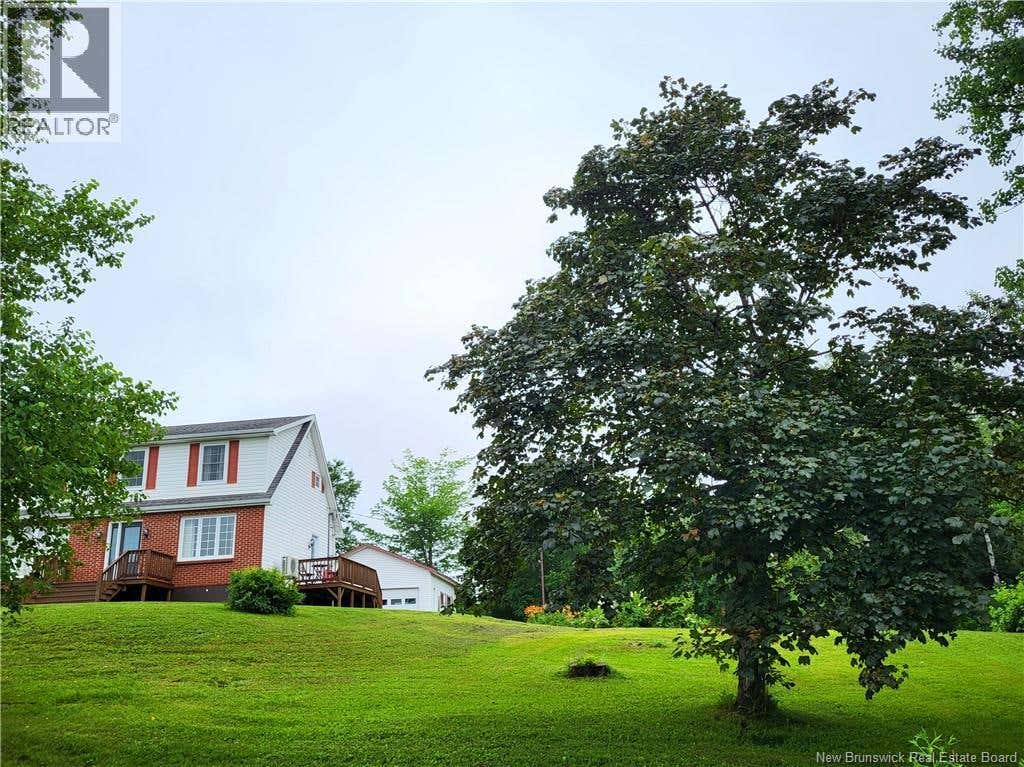 450 PETRIE