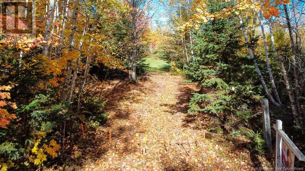 Lot Fisher Hill, Bouctouche, NB E4T0A0 Land For Sale RE/MAX NB108007