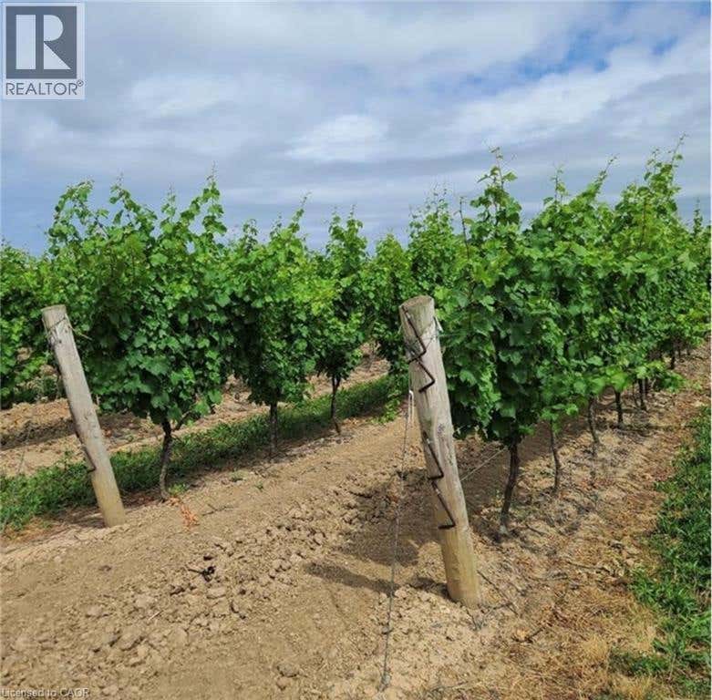 1074 NIAGARA STONE ROAD