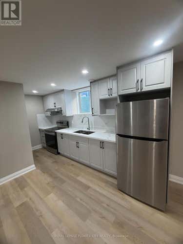 BASEMENT - 3830 PETALPATH WAY