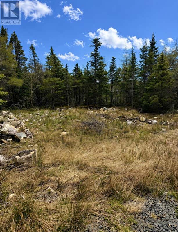 241A MIDDLE GULL POND ROAD