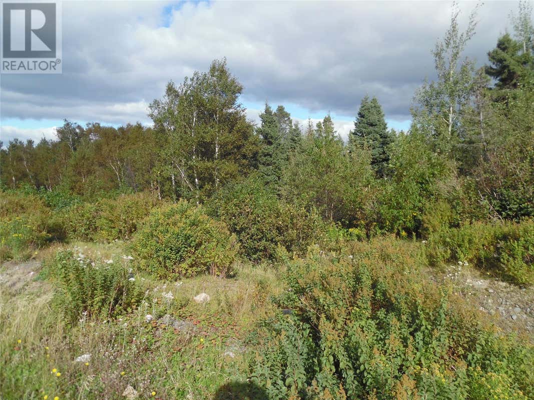 57A Legion Road, Port Blandford, NL A0C2G0 Land For Sale RE/MAX 1277503