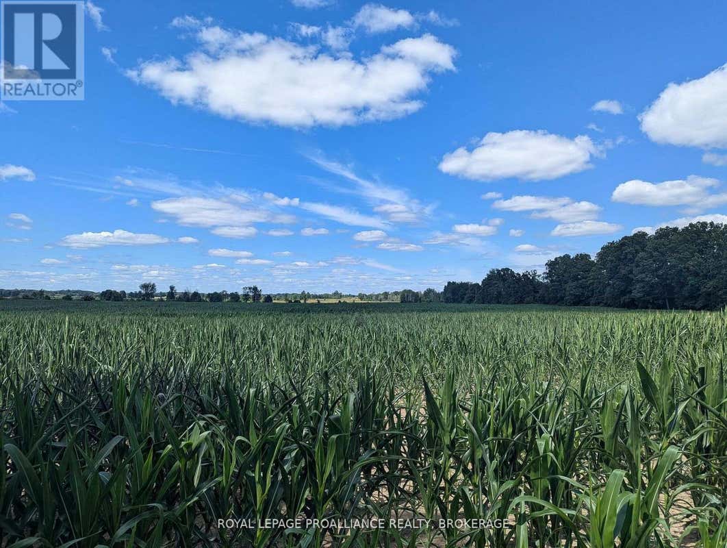 2622 4TH CONCESSION ROAD