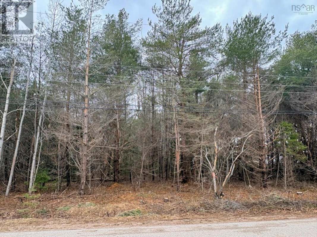 LOT 3 WANDA LYNN DRIVE