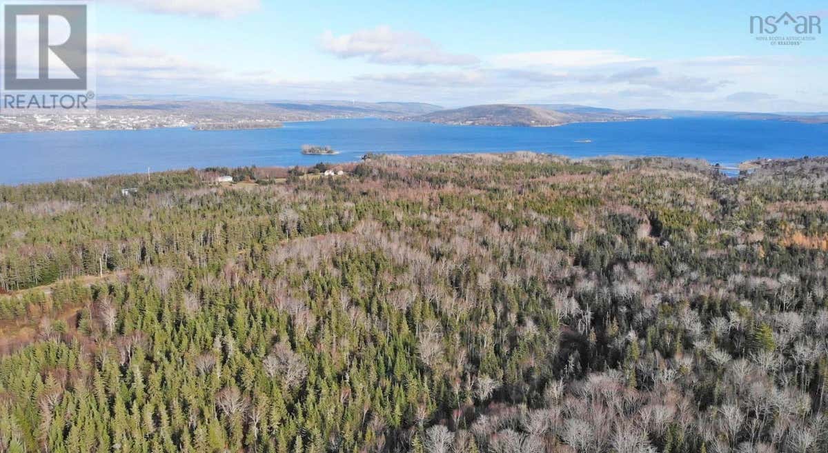 46 ACRES WASHABUCK ROAD