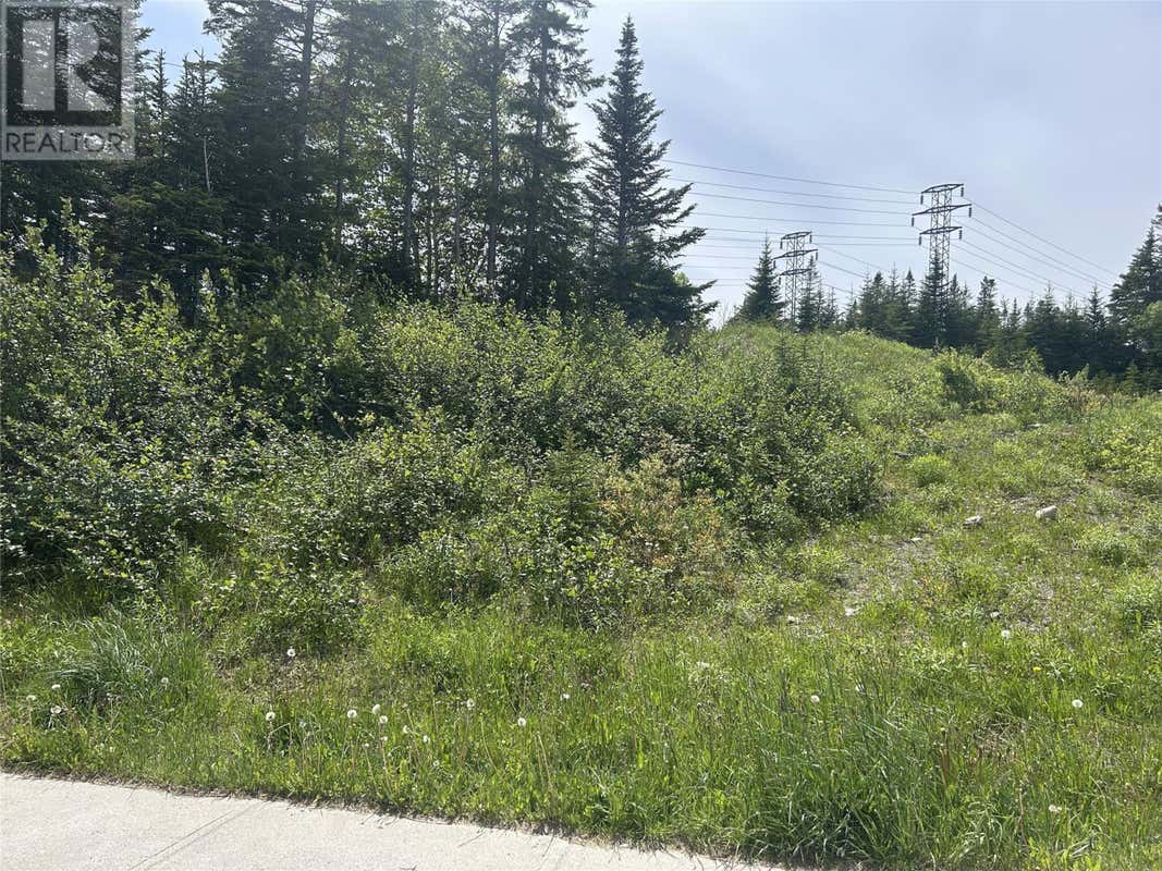 196 MASSEY DRIVE