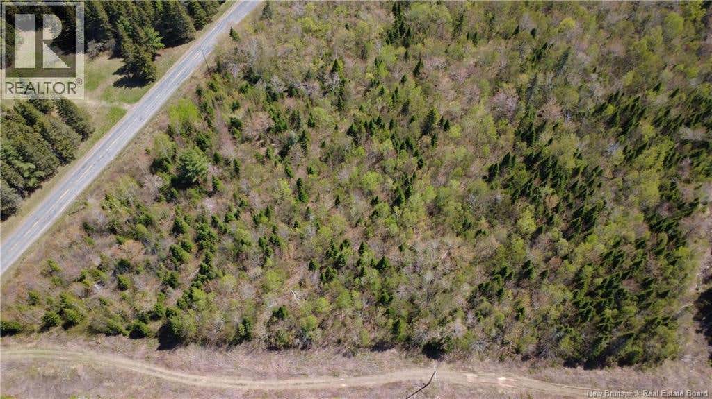 5,036 MC CHEMIN ST-RAYMOND