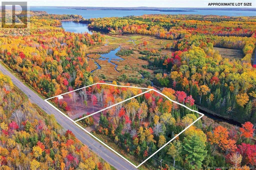  690 Route, Flowers Cove, NB O0O0O0 Land For Sale RE/MAX NB107945