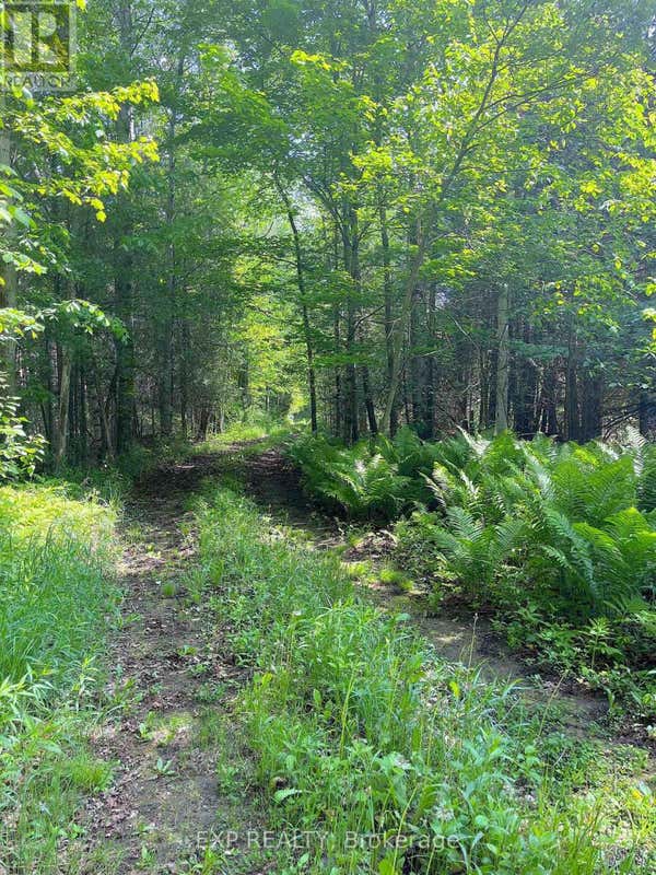 00 JOHNSTON ROAD