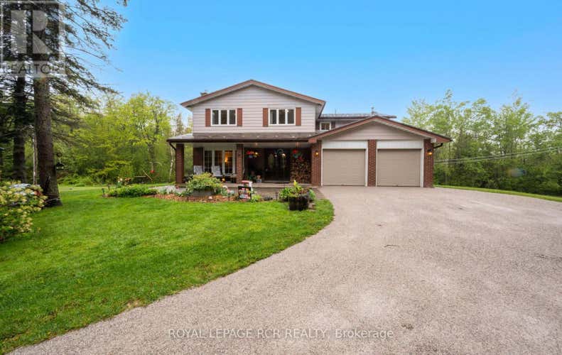 553580 MONO AMARANTH TOWN LINE