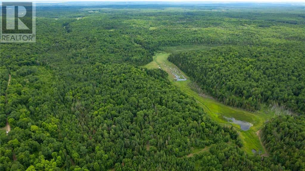 WITTKE ROAD, Eganville, ON K0J1T0 Land For Sale RE/MAX 1402743