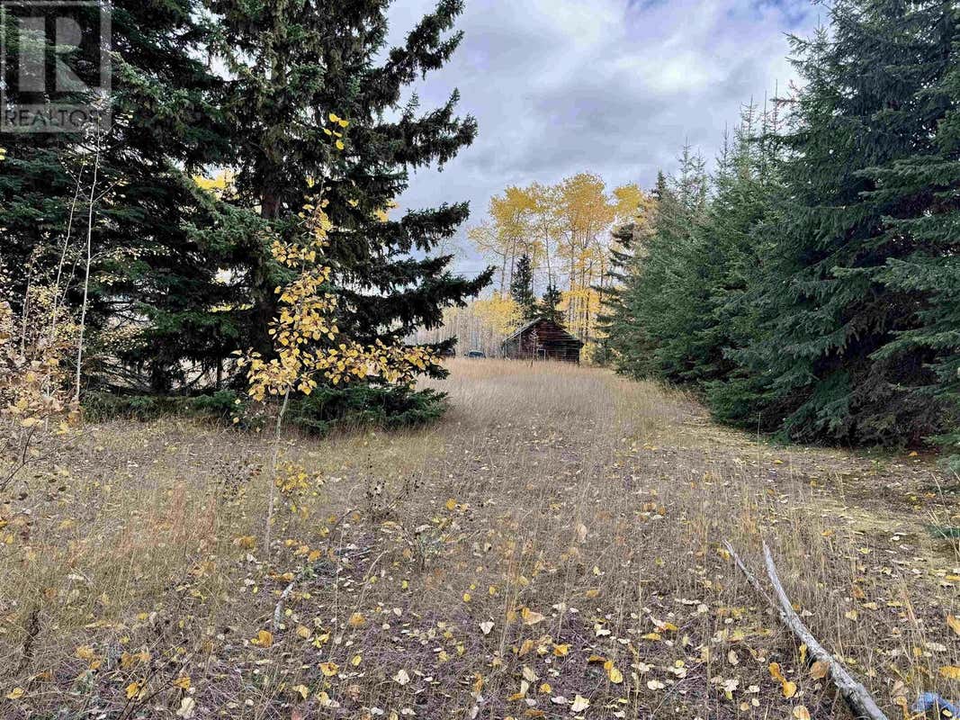 1238 SWEDER ROAD, Fort St. James, BC V0J1P0 À vendre RE/MAX R2936629