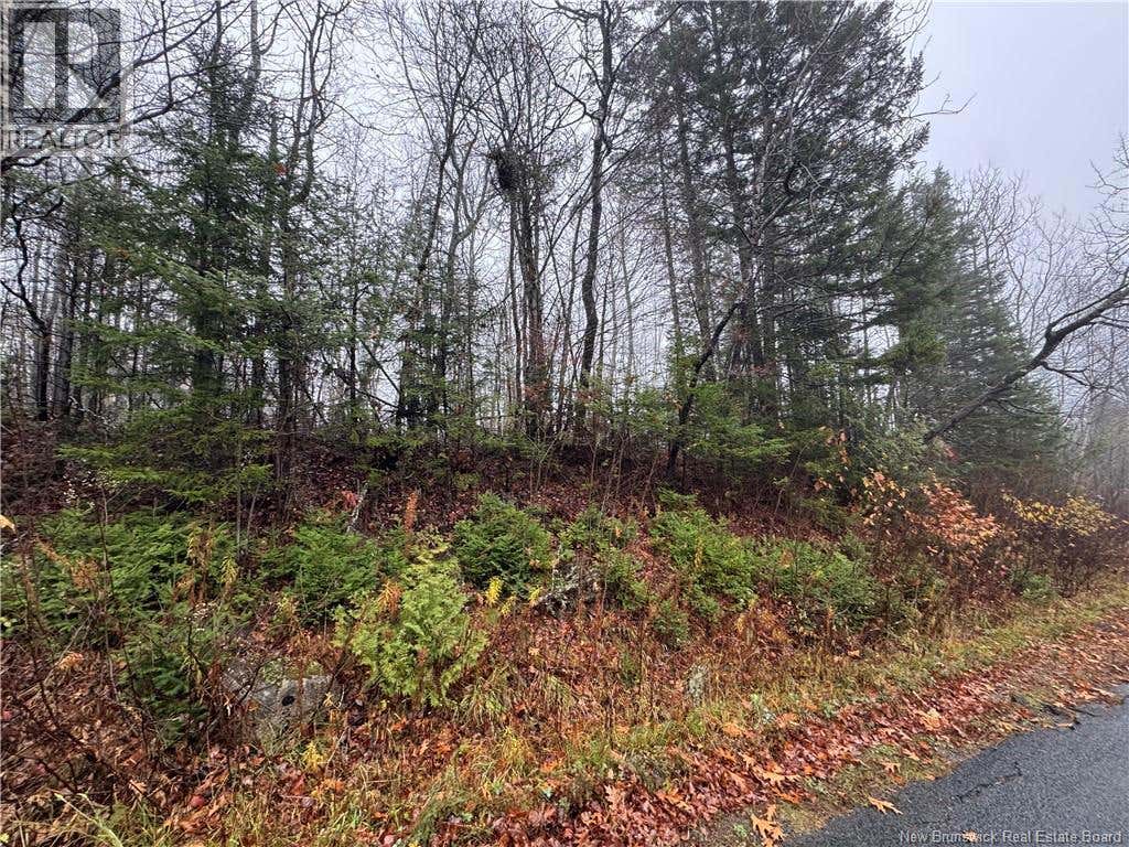 25-01 St. David Ridge Road, Oak Bay, NB E3L4R1 Land For Sale | RE/MAX ...