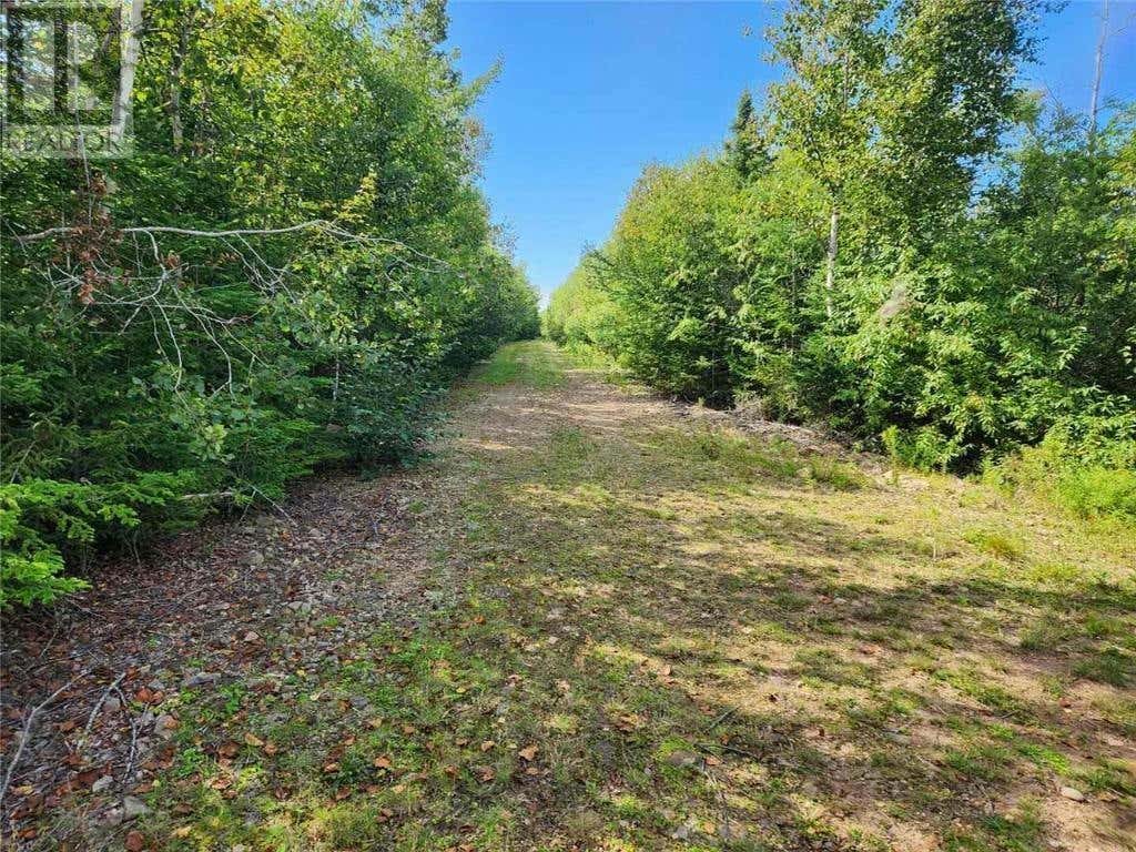 2 Chignecto Lane, Wood Point, NB E4L0A9 Land For Sale RE/MAX M161018