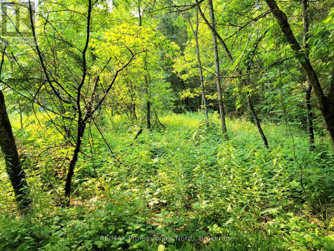 26 - 35 MOUNT VERNON TRAIL