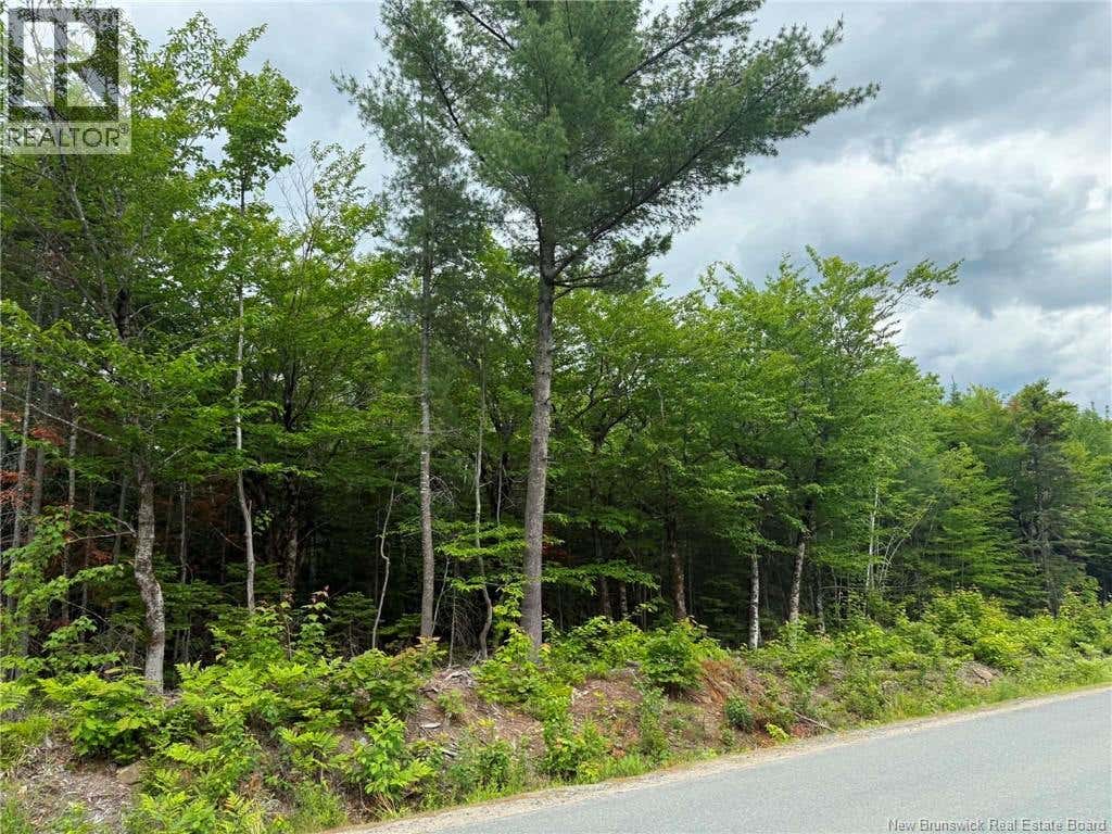 LOT 4 HANSEN ROAD