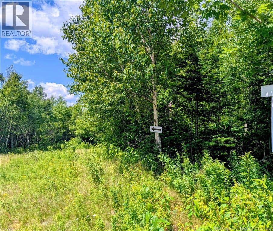 LOT 8 GOLDEN RIDGE ROAD