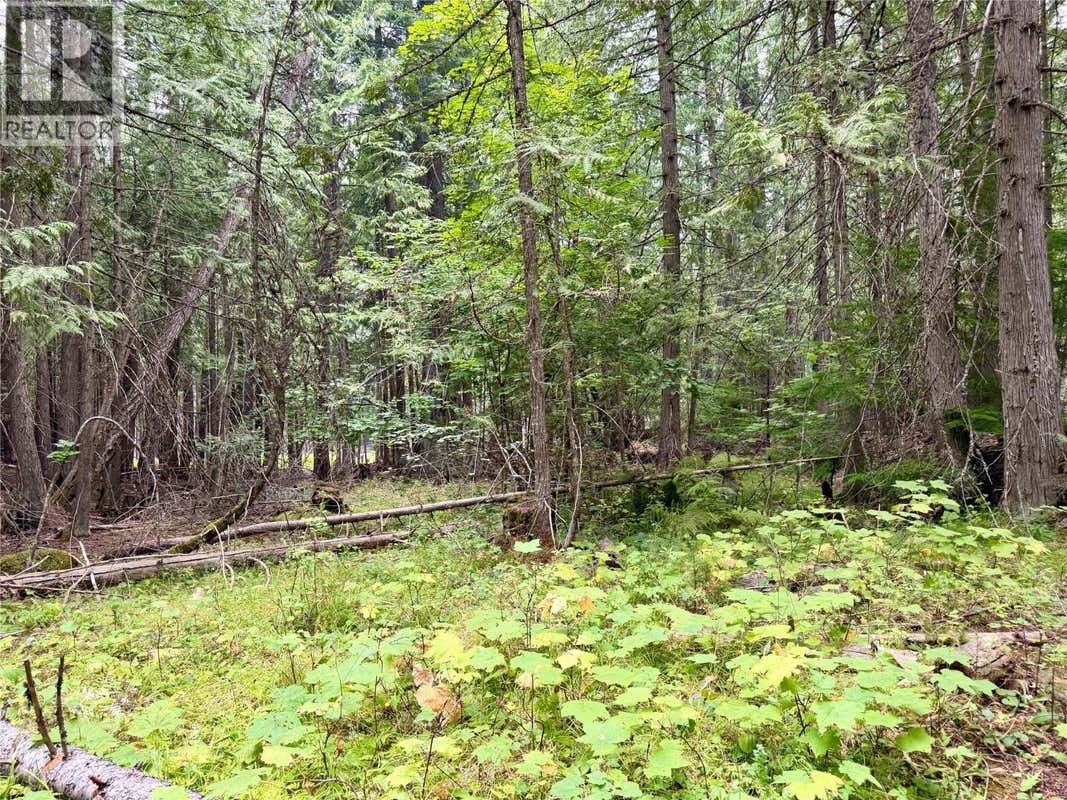 HARROP-PROCTER ROAD LOT# E