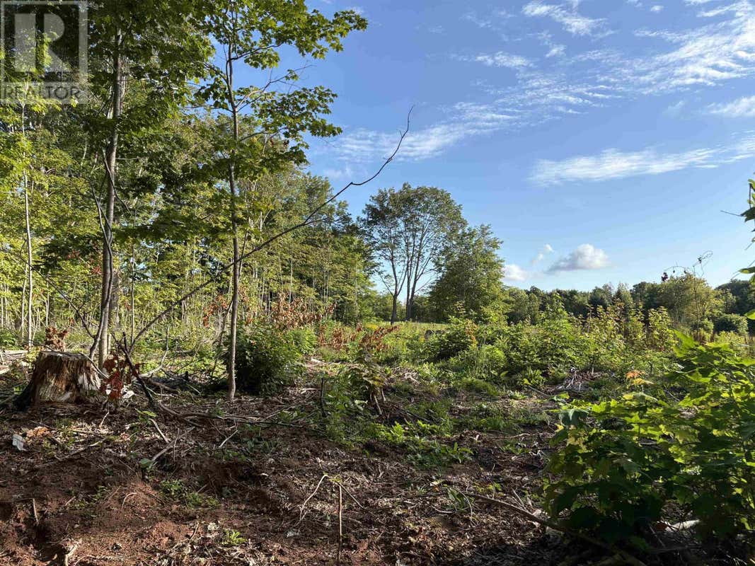 LOT 24-1 LORABELLE COURT