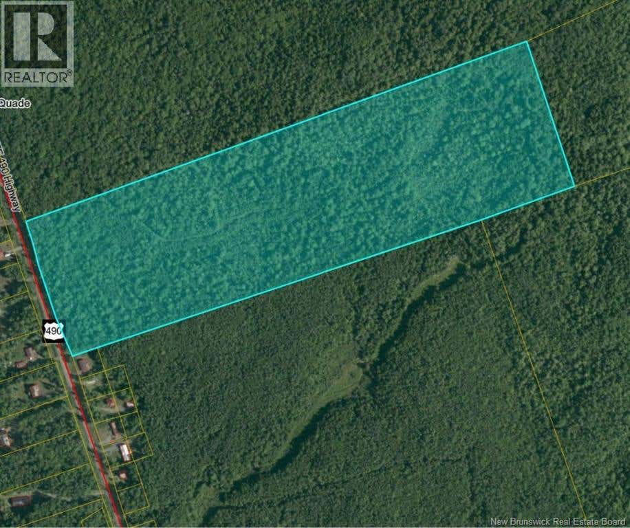 . WOODLOT RTE 490 MCQUADE ROUTE