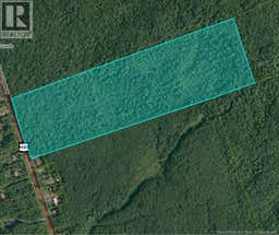 . WOODLOT RTE 490 MCQUADE ROUTE