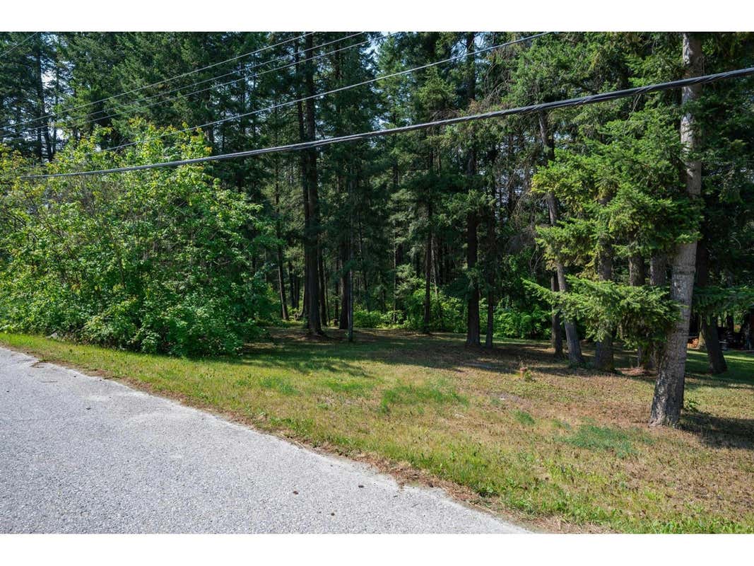 576C HABART ROAD, Golden, BC V0A1H2 Land For Sale RE/MAX 2480067