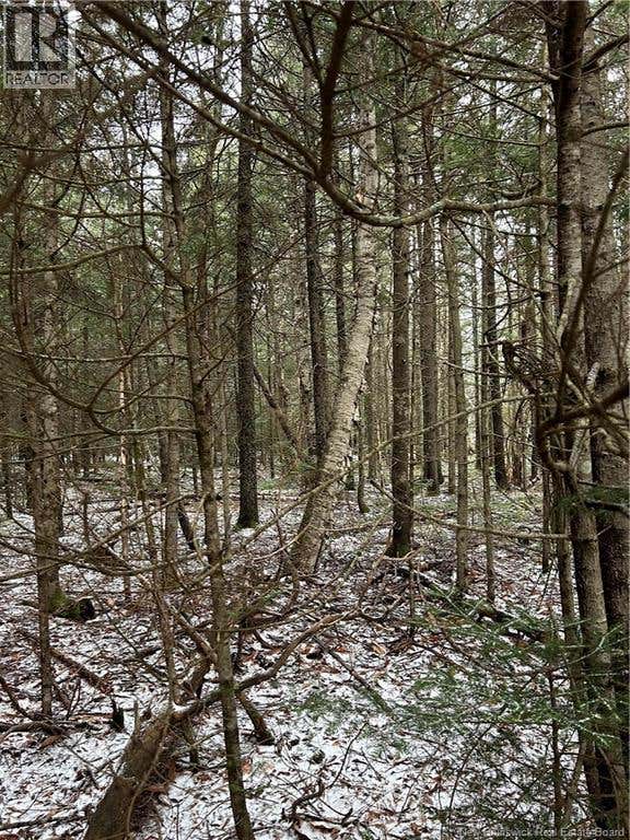 LOT 26-3 BACKLAND ROAD