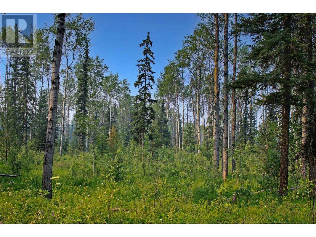 PROP LOT 2 BROWN ROAD, Bridge Lake, BC V0K1E0 Land For Sale RE/MAX