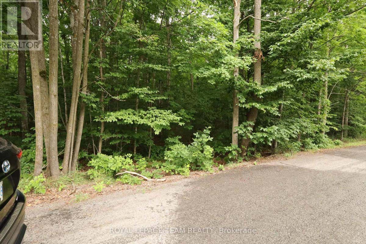 PT 1 8R4035 RONSON ROAD