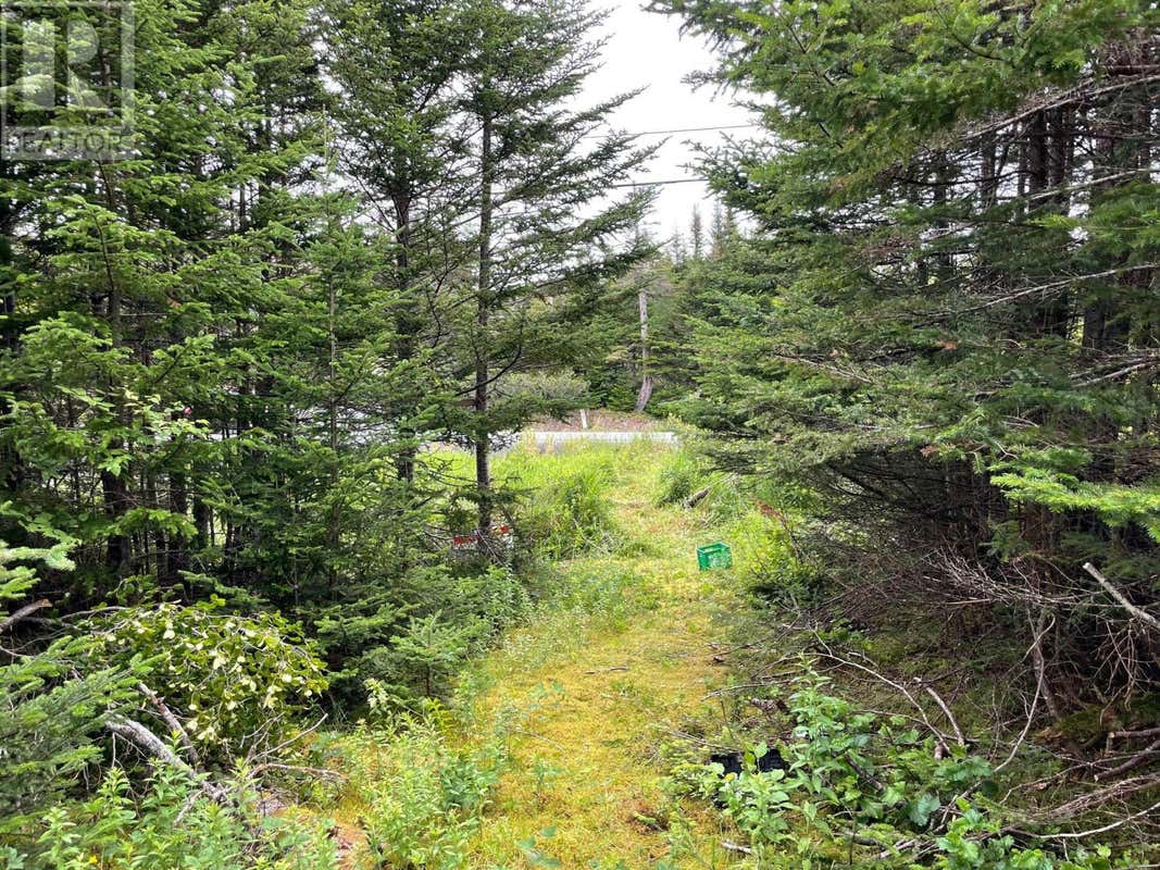 0 Salmonier Line, Holyrood, NL Commercial Real Estate For Sale RE/MAX Commercial 1278418