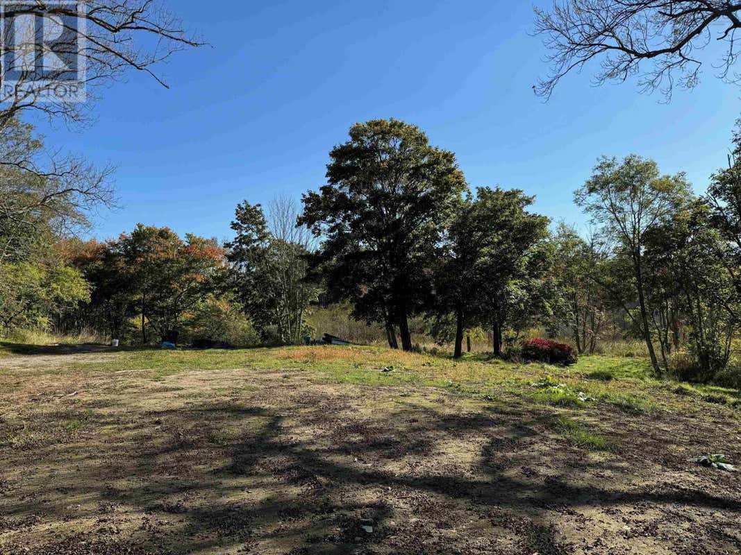 9985 Highway 3, Arcadia, NS B5A5J8 Land For Sale RE/MAX 202424879