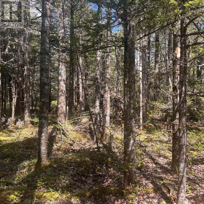 LOT 16 SOMERSET DRIVE