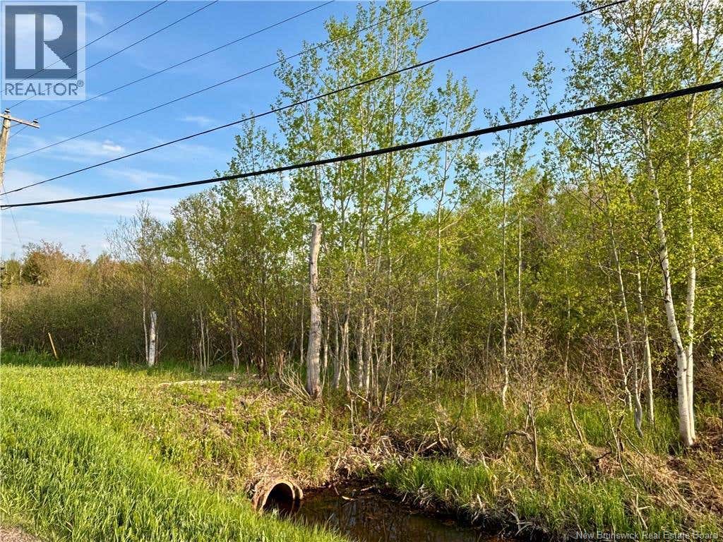33.8 ACRES ROUTE 310