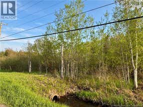 33.8 ACRES ROUTE 310