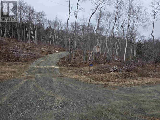 Lot 2 239 Sissiboo Road