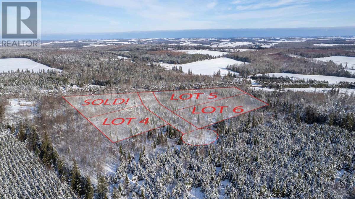 LOT 5 ROUTE 225