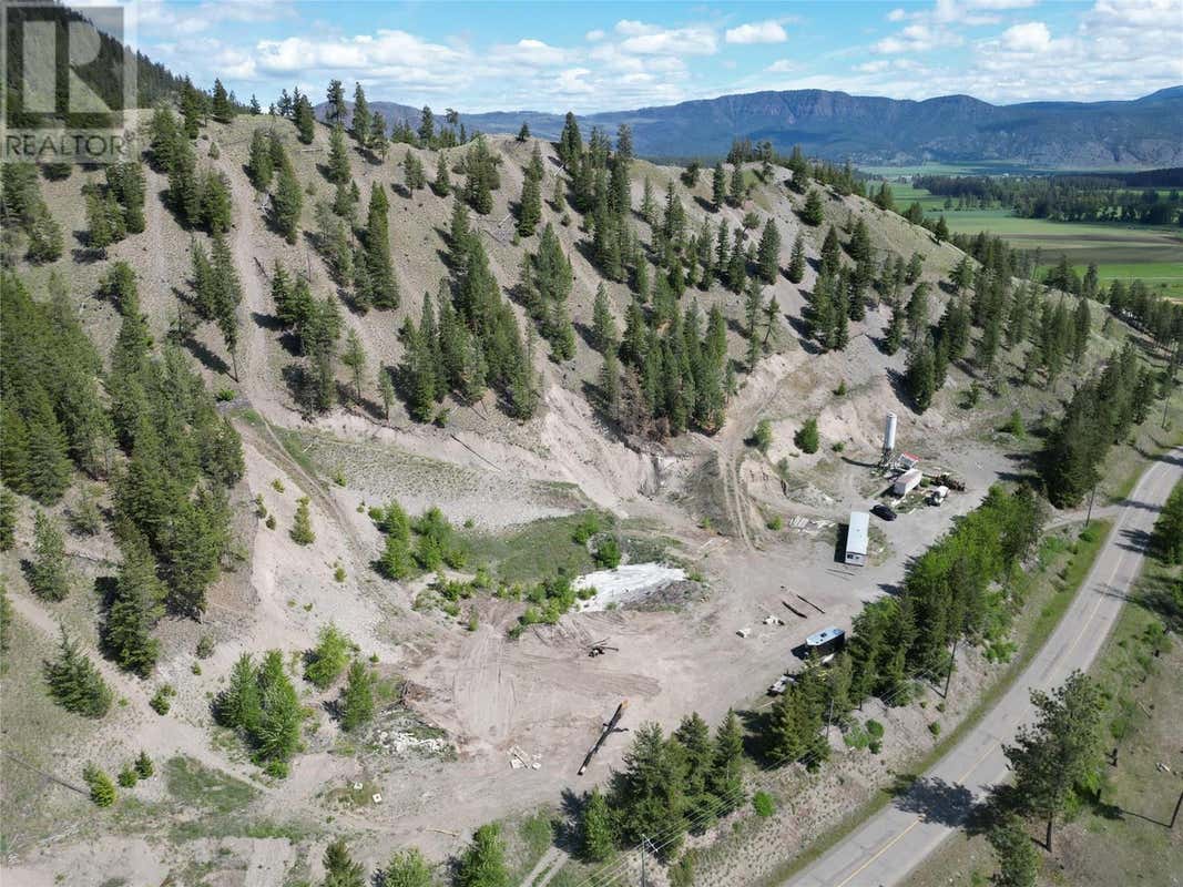 7329 DOUGLAS LAKE ROAD