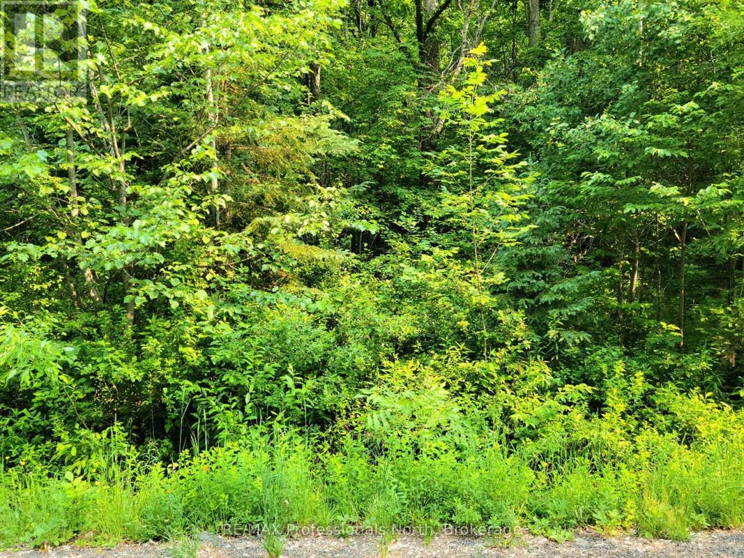19 - 26 MOUNT VERNON TRAIL