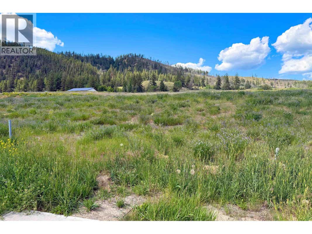 LOT 165 2528 GOPHER DRIVE
