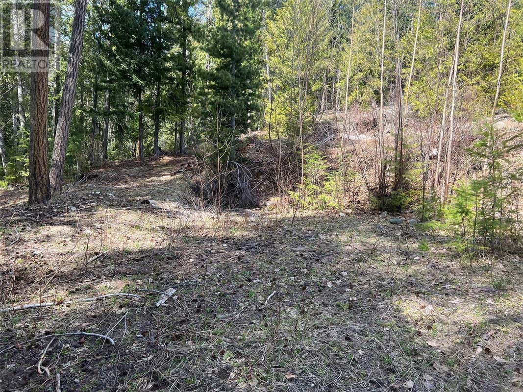 67 Pine Street, Anglemont, BC V0E1M8 Land For Sale RE/MAX 10322644