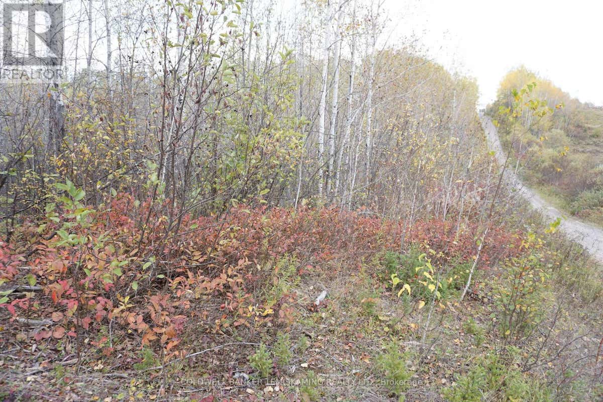 LOT 1A CAMPBELLS ROAD, Timiskaming Remote Area, ON P0J1B0 Land For Sale