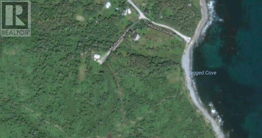 25-37 MULLOWNEY'S , GALLOWS COVE ROAD