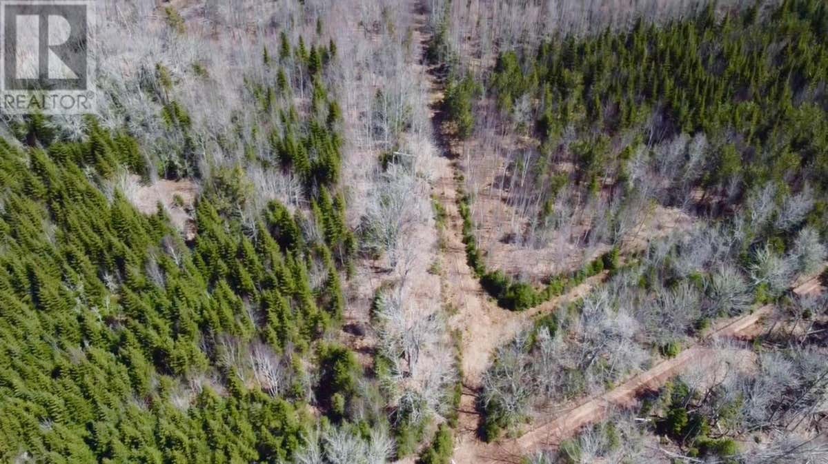 SETTLEMENT ROAD