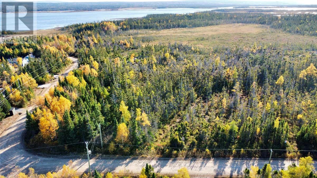 Lot 70 Kellys Point, Howley, NL A0K3E0 Land For Sale RE/MAX 1278780