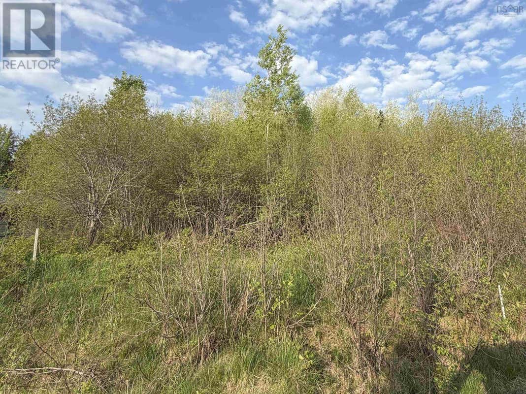 LOT 19 BELAIR DRIVE