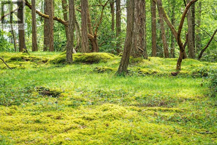 Lot 88 Sockeye Dr