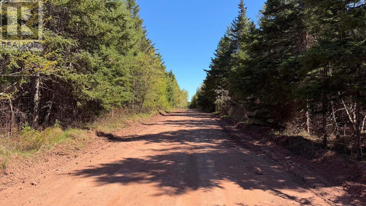 LOT DUNE ROAD
