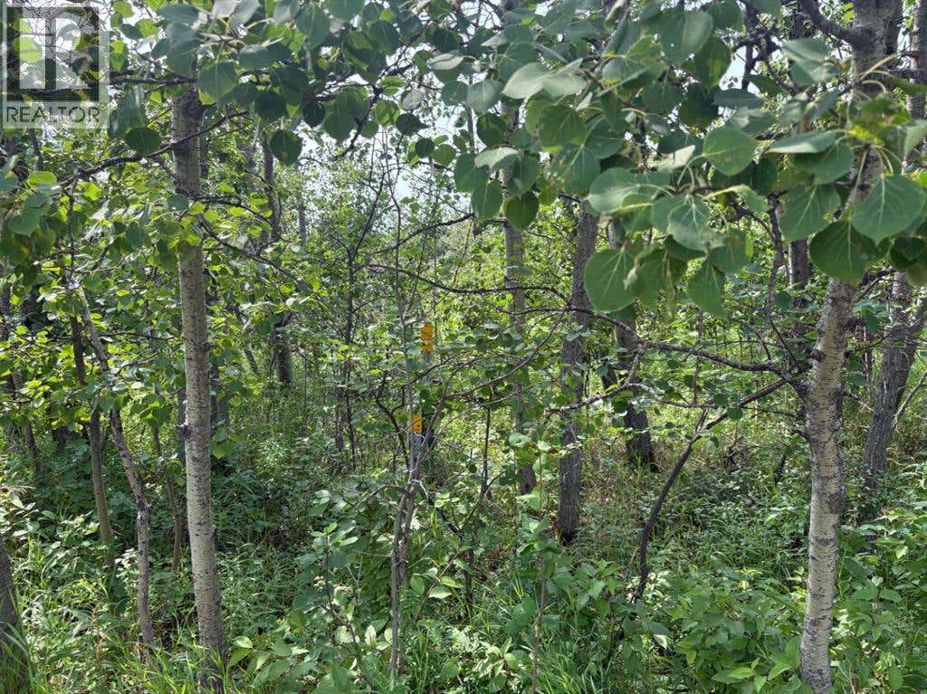 324, 22113 TWP RD 440