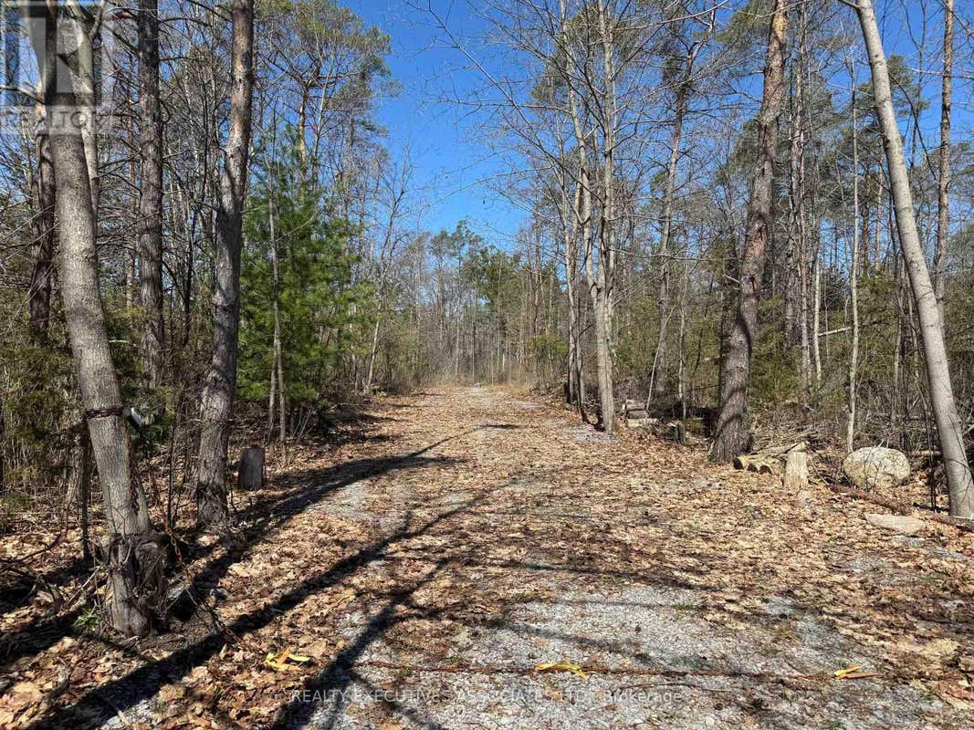 6192 COUNTY RD 50